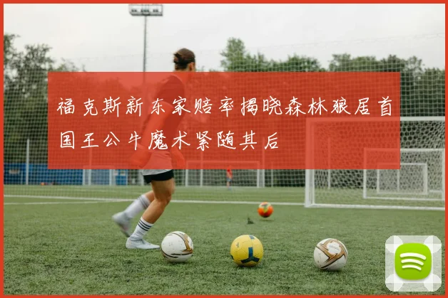 福克斯新东家赔率揭晓森林狼居首国王公牛魔术紧随其后